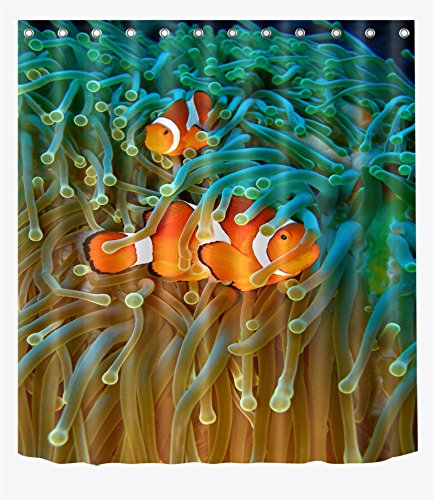 Clownfish Shower Curtains Clownfish Shower Curtain