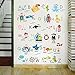 Kids Room Decor Pirate Alphabet Wall Decals for Kids Baby Room Removable Peel and Stick Educational Letters for Bedrooms Nursery Decor Art Decal