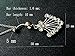Women Sexy Rhinestone Piercing Bar Body Jewelry Boho Waist Chain Belt Belly Button Ring