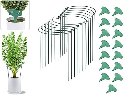 Amazon Co Jp Ipinkiong 12枚セット 植物支柱 15枚セット 園芸ラベル 植物支柱 園芸ラベル 花ささえ 園芸支柱 観葉植物 観葉支柱 誘引 支柱 植物サポート 花支え 支柱棚 フラワー支柱 ガーデニング 農業用 園芸用 植物支柱 花ささえ つる性植物 観葉支柱パックガー Amazon Co Jp Ipinkiong 12枚セット 植物支柱 15枚セット 園芸ラベル 植物支柱 園芸ラベル 花ささえ 園芸支柱 観葉植物 観葉支柱 誘引 支柱 植物サポート 花支え 支柱棚 フラワー支柱 ガーデニング 農業用 園芸用 植物支柱 花ささえ つる性植物 観葉支柱パックガー