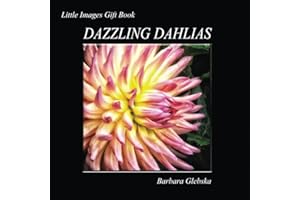 Dazzling Dahlias
