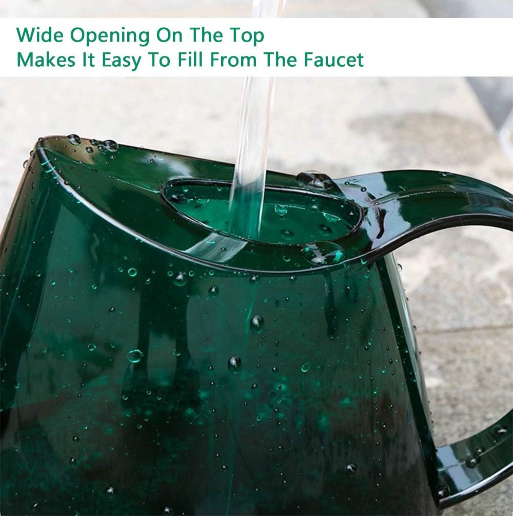 Long Spout Watering Can Indoor, Small Watering Cans for House Plants, Flowers, Succulents 40oz, with Plant Mister Spray Bottle 10oz(Green) : Garden & Outdoor