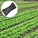 SumDirect 1000Pcs 8 Inch Plastic Twist Ties,Cable Ties for Making Facial Face Mask Plants Party Cello Candy Gift Bags Cake Pops-Black