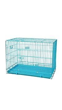 RvPaws Metal Dog Cage (Sky Blue 42-inch)