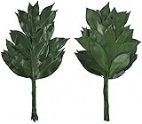 1対 プリザーブド 榊 コンパクト さかき 25cm SC-80856