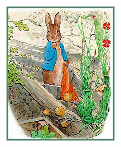 Orenco Originals Peter Lets Go Red Handkerchief Beatrix Potter Counted Cross Stitch Pattern
