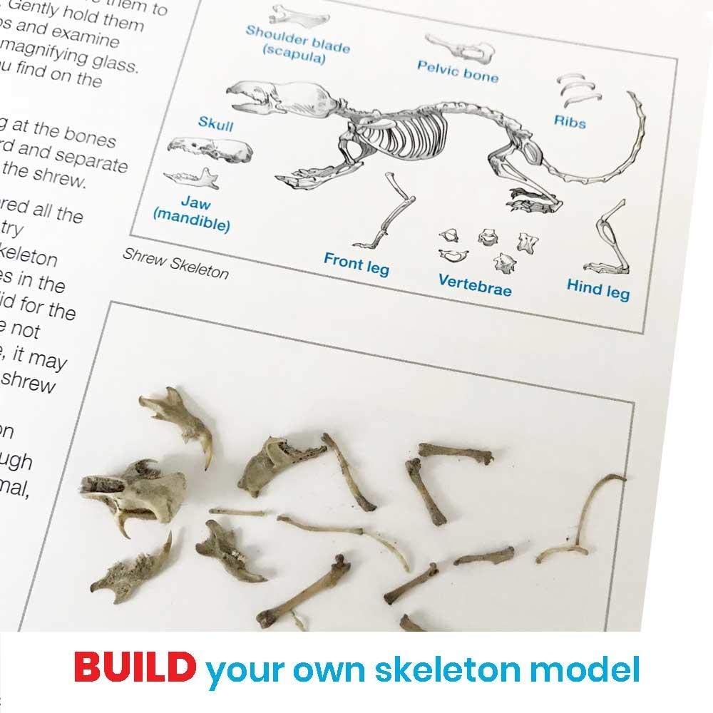 hand2mind Animal Science Kit for Kids 8-12, Kids Science Kit with Fact-Filled Guide, Learn About Animal Biology and Dissect Owl Pellets, STEM Toys, 10 Science Experiments