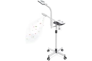 KINGSTEAM Professional Facial Steamer, 2 in 1 Ozone Facial Steamer on Wheels with 3X Magnifying Lamp, Time Preset Function Design for Face Sauna Spa and Personal Care Use at Home (JY-201A White)