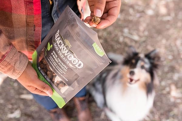 BLACKWOOD OVEN BAKED DOG TREATS, DUCK WITH APPLE, 8 OUNCE POUCH, TRAINING TREATS FOR ALL LIFE STAGES AND BREED SIZES