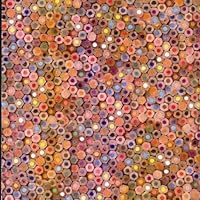 Devendra Banhart Ablum Cover