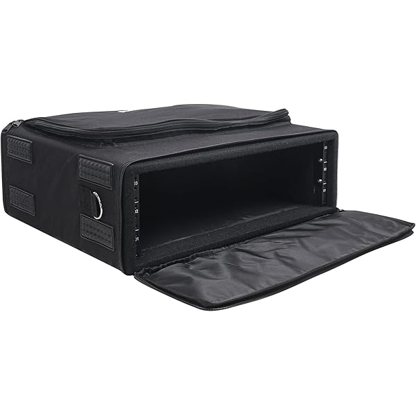 Amazon.com: 3u Rack Case
