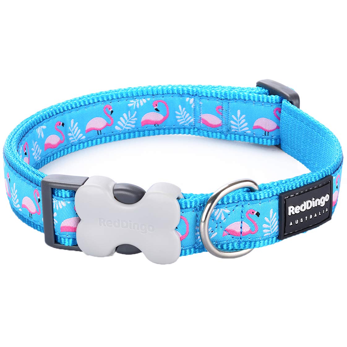 Red Dingo Bucklebone Dog Collar Design, Flamingo Turquoise, Small 15mm