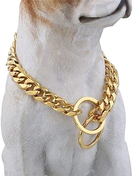 doberman gold collar