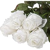 DILATATA Artificial Realistic Roses White Flowers 24" Real Touch Silk Roses Bouquet Long Stems Rose Fake Roses Decor for Home Party Wedding Table Centerpieces Roses Realistic - 5 Pcs