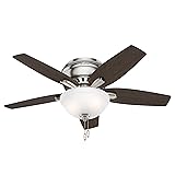 Hunter Fan Company, 51082, 42 inch Newsome Brushed