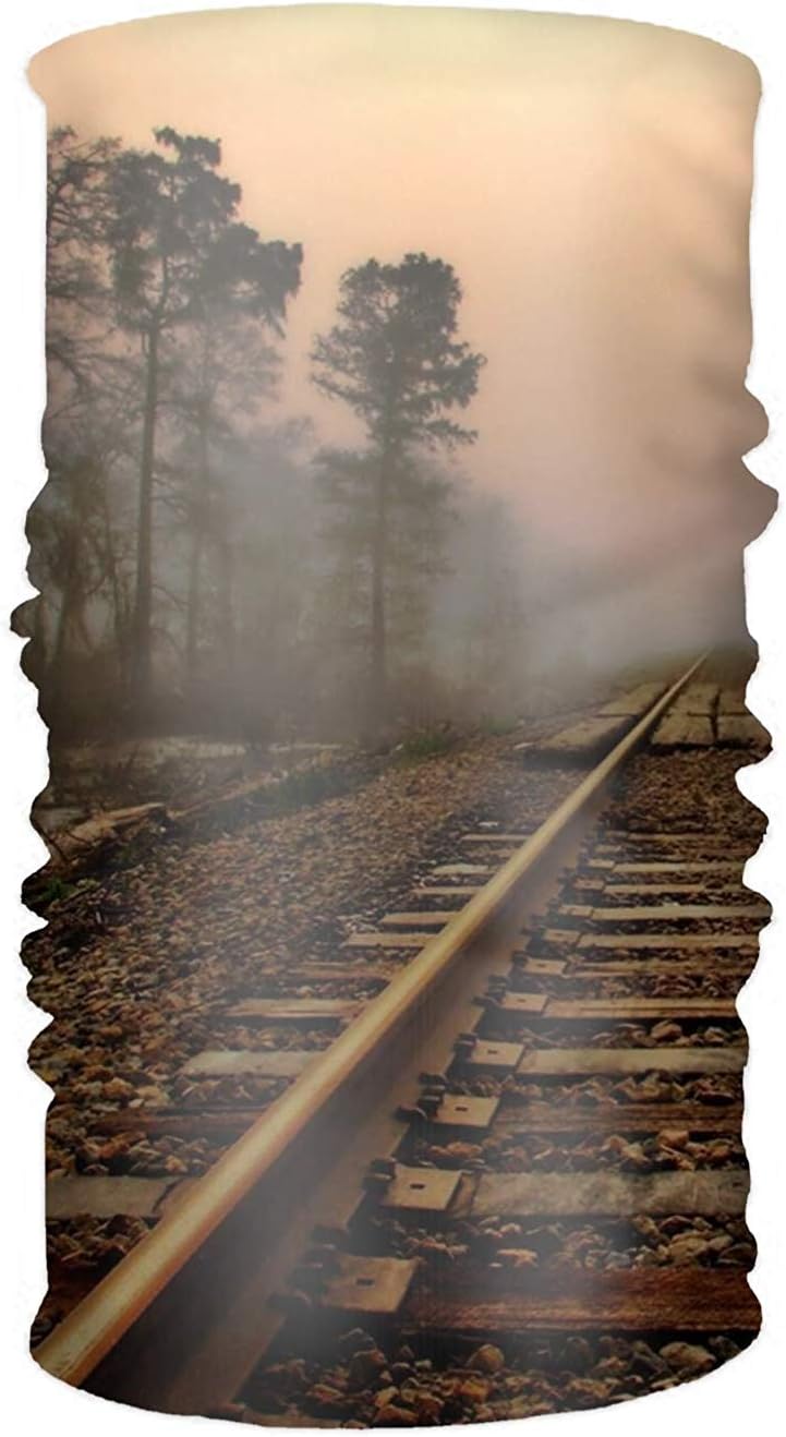 ghfghgfghnf Froggy Railroad Face Bandana Mask, Neck Balaclava and Sport Scarf Headband soft Sweatband