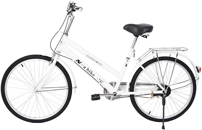 Tengma Cruiser Bicycle Commute Committed