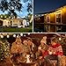 Salking 48Ft LED Outdoor String Lights, Decorative Globe Commercial Waterproof String Lights with 16 x 2W S14 LED Bulbs, Connectable Lights for Patio Garden Wedding Party Christmas (Double Fuse)