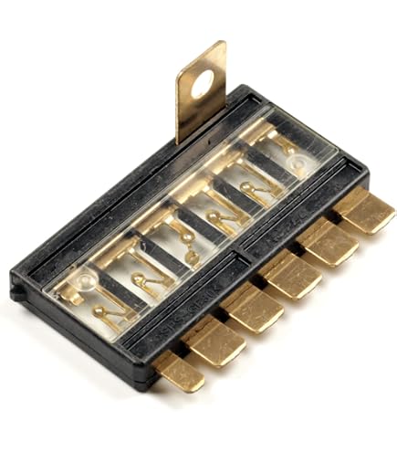 Amazon.com: VOZINMOST 32V ANM MEGA/AMG Fuse 100A, Bolt Fuses 100A