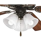 Progress Lighting P2600-20WB Fan Light Kit, Brown