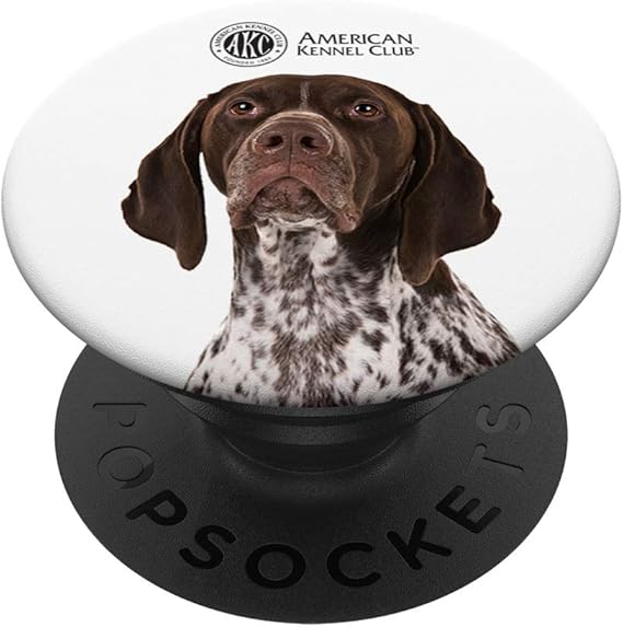 akc pointer
