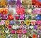 Livro JARDIM FLORIDO
