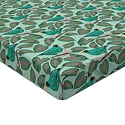 Ambesonne Tropical Fitted Sheet, Exotic Flora and