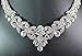 Janefashions Floral Clear White Austrian Rhinestone Crystal Necklace Earrings Set Wedding Party Bib Statement Bridal Jewelry Set Prom N1601 Silver