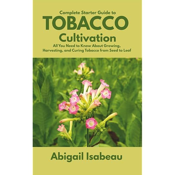 british american tobacco stock performance 2026 British American Tobacco Still Looks Cheap After Rising 30% This Year