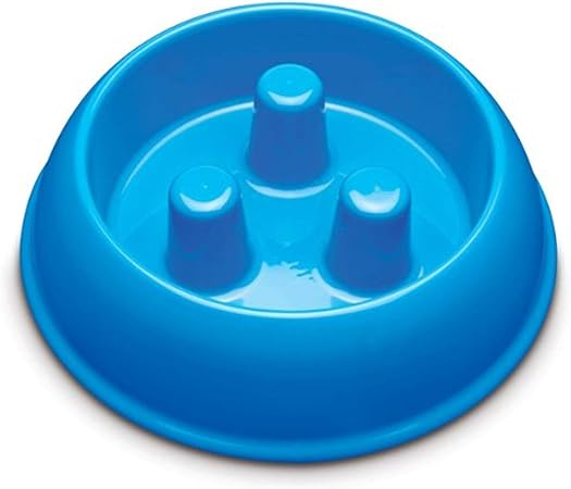 blue plastic dog bowl