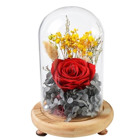 Xjdd La Belle Et La Bête Rosefleurs Boîte Cadeau Couvercle