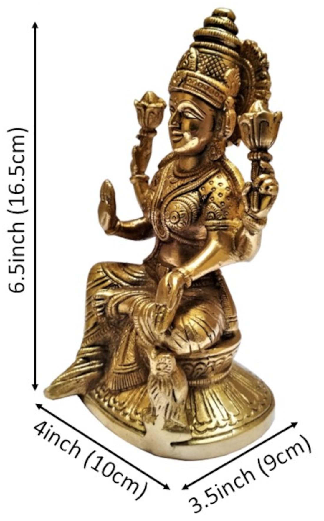 View 5
