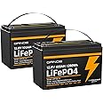 12V 100Ah LiFePO4 Battery Group 31 With Built-in 100A BMS (2 Pack), 1280Wh Lithium Battery with 15000 Deep Cycles, Prefect for Solar System, Rvs, Marine, Vans, Trailer, Backup