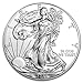 2013-1 Ounce American Silver Eagle Shipping .999 Fine Silver with our Certificate of Authenticity Dollar Uncirculated US Mint