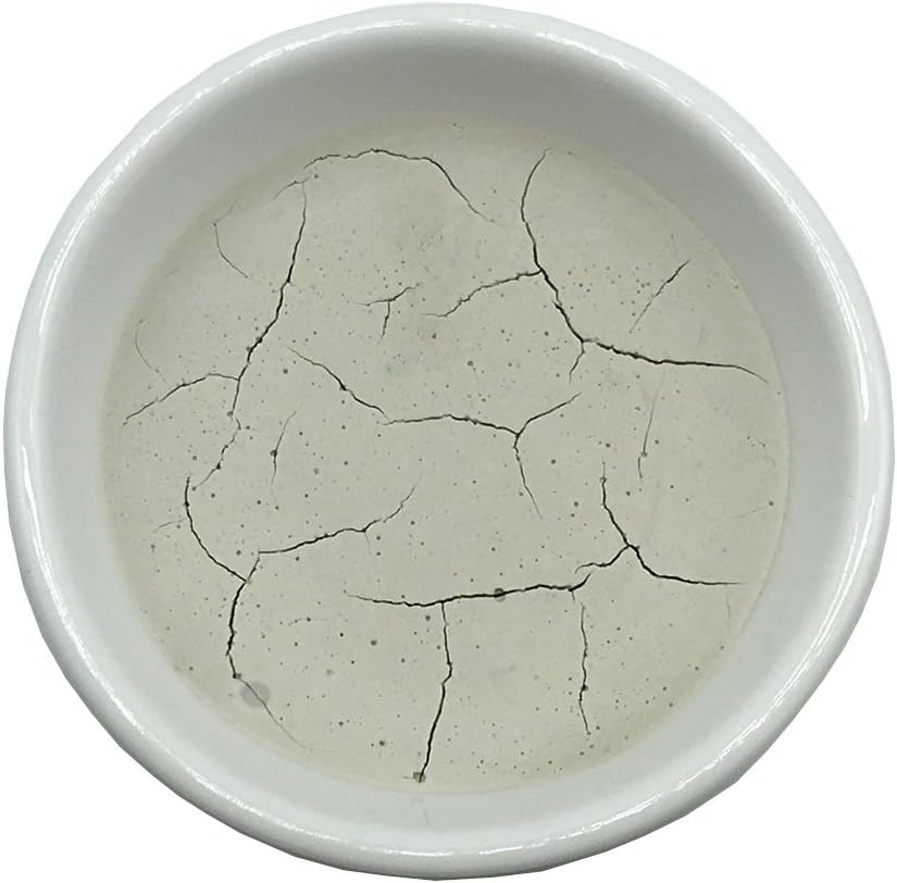 Easyou JiangsixuTang Traditional Professional Chinese Japaness Mineral Painting Color Block Pigment Clam White