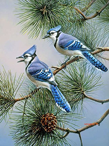 Toland Home Garden 1010433 Blue Jay Duet Winter Flag 28x40 Inch Double Sided Winter Garden Flag for Outdoor House Flag Yard Decoration