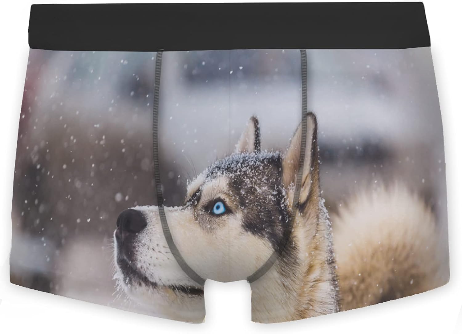 Mens Boxer Briefs Funny Husky Dog In Snow Brief Underwear Mid Rise Big