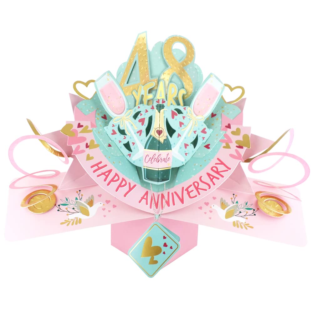 48 Years Happy 48th Anniversary Pop-Up Greeting Card Love Kate's 3D Pop Up Cards POP216MC48