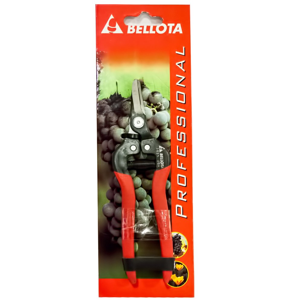 BELLOTA 3625 INOX-ce MB – Scissors recolectora