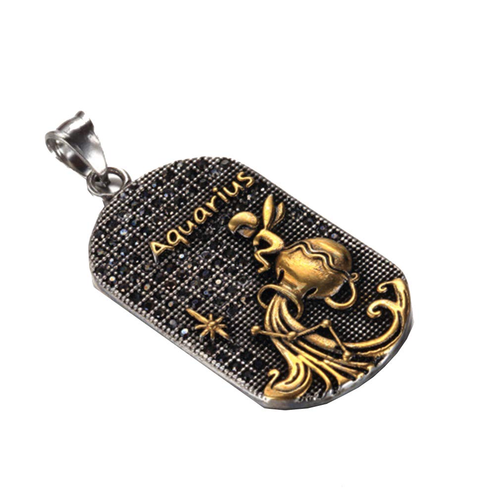 HIJONES Men's Stainless Steel 12 Constellations Zodiac Sign Aquarius Dog Tag Pendant Necklace Vintage Gold Black