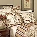 Waverly Charleston Chirp Modern Farmhouse Floral 4-Piece Reversible Quilt Bedspread Set, King, Papaya