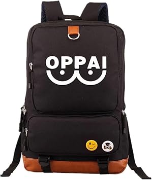 bag for laptop and books