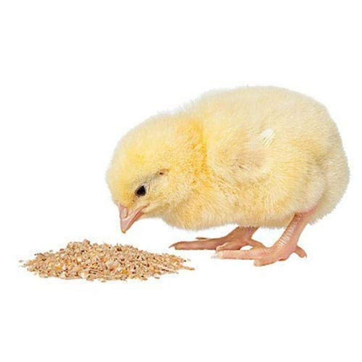 Buy ADITYA Industries Poultry Feed for Chick Starter 1Kg Online at Low
