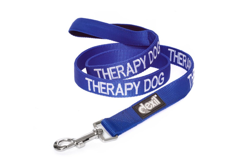 Dexil Limited THERAPY DOG Blue Colour Coded 60cm 120cm 180cm Padded Dog Lead PREVENTS Accidents By Warning Others of Your Dog in Advance (120cm)
