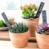 KINGLAKE 10Pcs Slate Plant Labels and Talcum Pen 15x2cm Garden Markers view 5