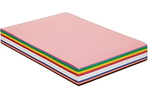 Colorations BIGSMART 12" x 18" Construction Paper Smart Pack (Pack of 300)