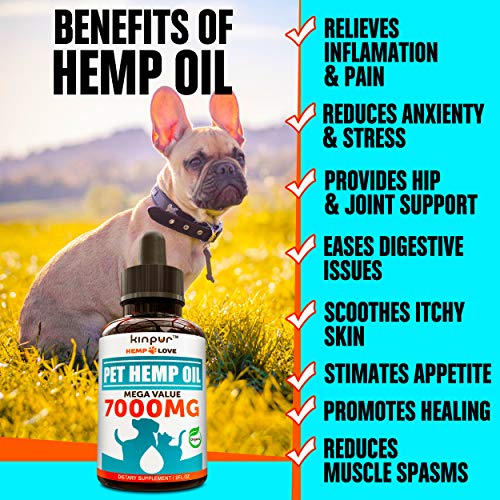 Natural Hemp Oil for Dogs & Cats 7000MG Premium Hemp Extract