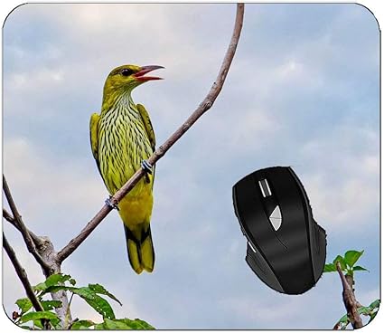 Amazon ゲームマウスパッド鳥の黄色の羽のマウスマット Yendosteen マウスパッド 通販