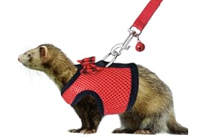 Rypet Small Animal Harness and Leash - Soft Mesh Pet Harness with Safe Bell, No Pull Comfort Padded Vest for Small Pet Red