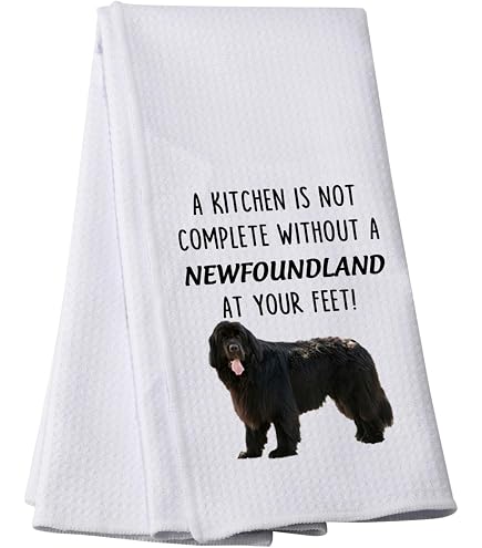 Newfoundland Heritage Foil Magnet - Flag Matrix